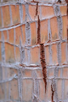 Netti Pokeri Ilmainen: Miten Aloittaa Ja Hyötyä Siitä Suomalaisilla Sivustoilla