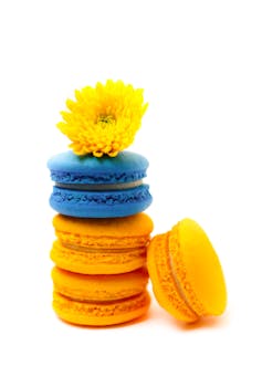 Tuohi Mastercard: Ohjeet Ja Palvelut Www-tuohi-mastercard-fi