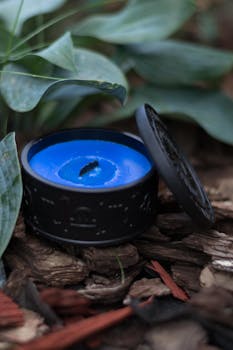 Lainan Saanti Ilman Luottotietoja: Vaihtoehdot Ja Vinkit