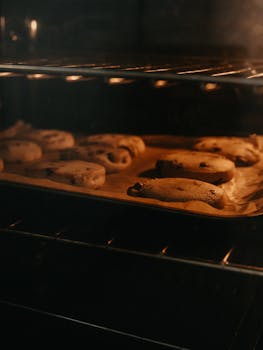 Pikalainat 1000: Understanding The Basics And Investment Options