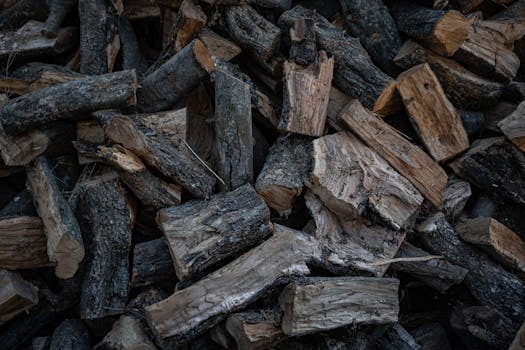 Netti Peliautomaatit: Pelityypit, Edut Ja Pelaamisen Vinkit