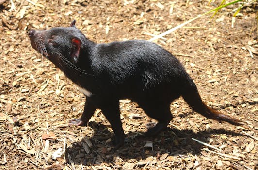 Autolaina Edullisesti: Vinkit Ja Vertailut Edullisimpien Rahoitusvaihtoehtojen Löytämiseen