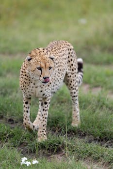 Vakuudeton Pikalaina: Miten Hakea Ja Vertailla Parhaat Tarjoukset