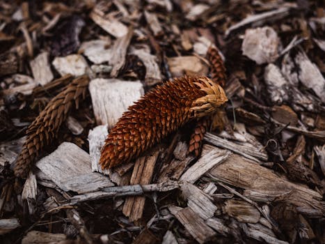 Hinta Ja Käytännöt: S Etukortti Rinnakkaiskortti Hinta