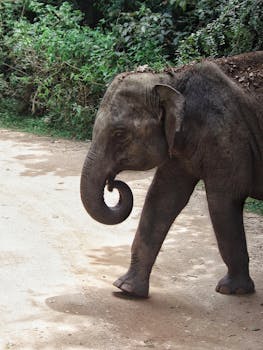 100 € Pikavippi: Saatavilla Olevat Vaihtoehdot Ja Hakuprosessi