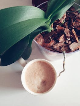 Lainaa Heti Tilille: Nopeat Ja Joustavat Lainavaihtoehdot