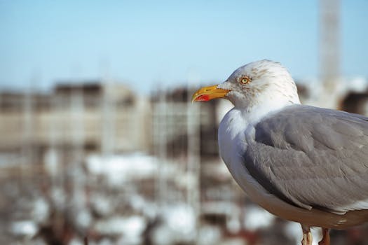 365poker: Kasyno Ja Poker Sisällöt Suomessa