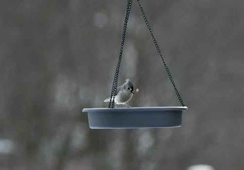Yrityslaina Ilman Vakuutta: Mahdollisuudet Ja Hakeminen