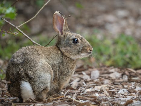 Yritys Lainat: Rahoitusratkaisut Yrityksille Suomessa