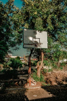 Viking Laina: Tietoa Luottolainoista Ja Pikavipeistä Suomessa