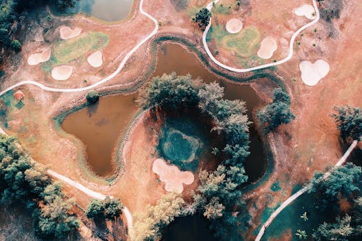 Op Korttien Hinnat: Tietoa Ja Hintamuutokset Suomessa