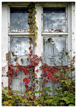Op Kuinka Paljon Lainaa Voit Saada - Op Valinta Ja Lainarajat