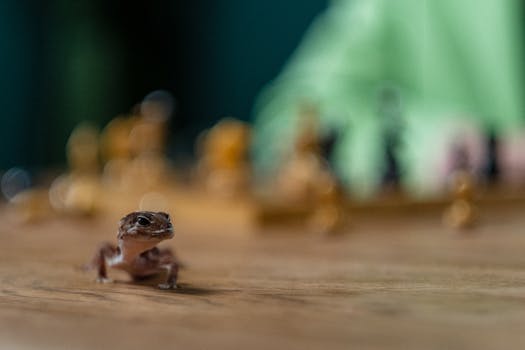 Etua Laina Kokemuksia: Kokemuksia Ja Vertailutietoja