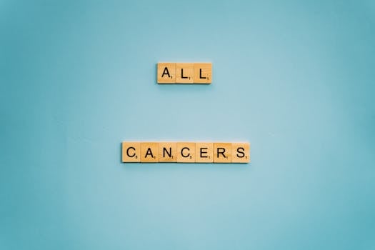 Parhaat Kasinopelit: Oppimateriaali Ja Suosituimmat Pelityypit