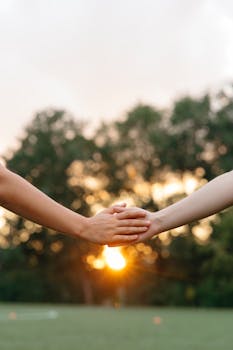 Mysaldo Omat Sivut: Tietoa Ja Käyttömahdollisuuksia