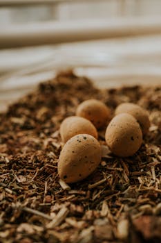 Vuosikorkolaskuri: Lainan Todellisen Vuosikoron Laskeminen Ja Vertailu