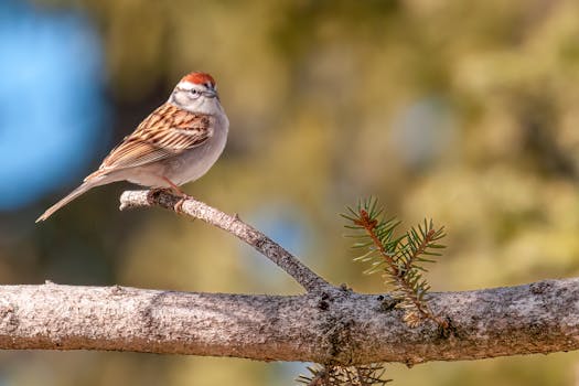 12 Kk Euribor Korko Ennuste: Jatkokehitys Ja Tulevaisuuden Näkymät