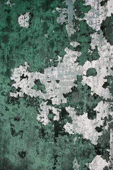 Everest Bonuskoodi: Parhaat Kasinotarjoukset Ja Ilmaiskierrokset 2025