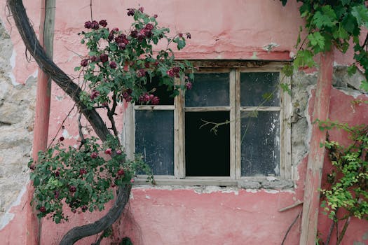 Yrityslainaa Toiminimelle: Rahoitusvaihtoehdot Ja Hakumenettelyt