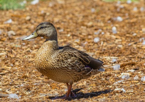 Yhdistelylainat: Miten Ne Voivat Auttaa Talouden Hallinnassa Ja Säästöissä