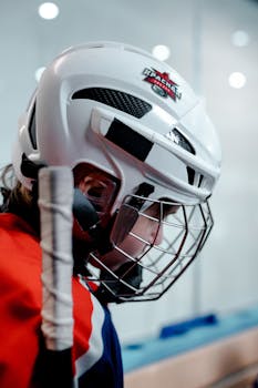 Nordean Lainan Korot Ja Niiden Käyttömahdollisuudet