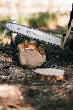 Halpa Laina Korko: Vertailu Ja Vinkit Edullisen Lainan Löytämiseen