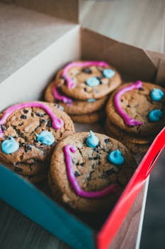 Pay N Play Racquetball Ontario Canada: Nopean Pelaamisen Mahdollisuudet Ja Palvelut