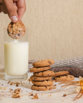 Yrityslaina Pankista: Opas Yrityksen Rahoitusvaihtoehdoista