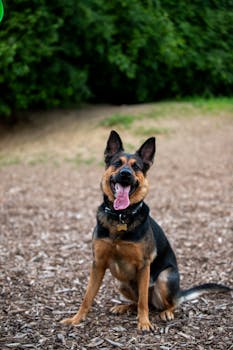 Lainaa Yksityiseltä Henkilöltä: Vinkit Ja Prosessi