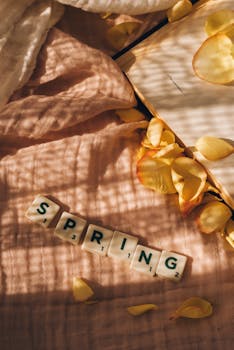 Nordean Autorahoitus: Autolainat Ja Leasing-ratkaisut Suomessa