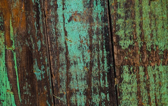 S Kortti Apple Wallet: Opas IPhonen Ja Apple Watchin Käyttöön