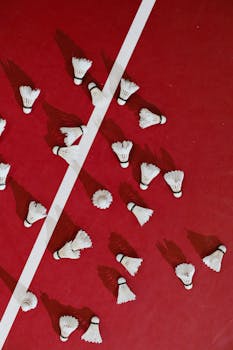 Netticasinot Uudet Asunnot: Parhaat Uudet Kasinot Ja Niiden Mahdollisuudet