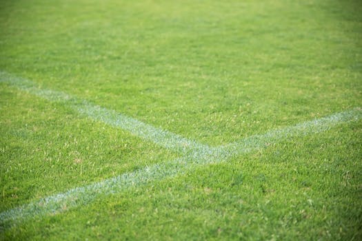 Kasinot Ilman Talletusta: Mahdollisuudet Ja Toimintatavat