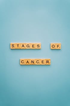 Pop Luotto: Tietoa, Lainaedut Ja Käyttömahdollisuudet