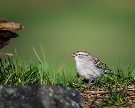Oma Laina Laskuri: Miten Se Toimii Ja Milloin Sitä Kannattaa Käyttää