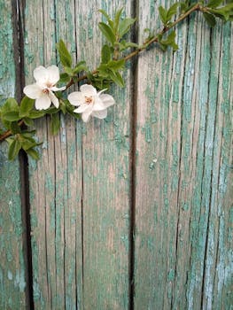 Laina Nordea: How To Understand And Access Nordea Personal Loans