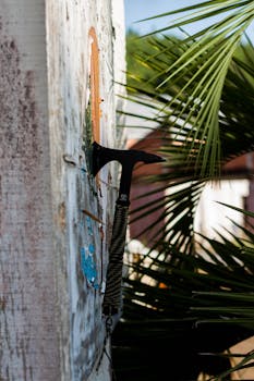 Yrityslaina Pankista: Opas Yrityksen Rahoitusvaihtoehdoista