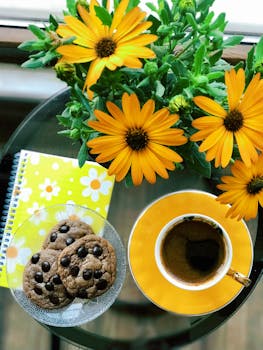 Zalando Laskulla Ilman Luottotietoja: Mahdollisuudet Ja Ehdot