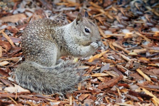 Yrityslaina Ilman Vakuutta: Mahdollisuudet Ja Hakeminen