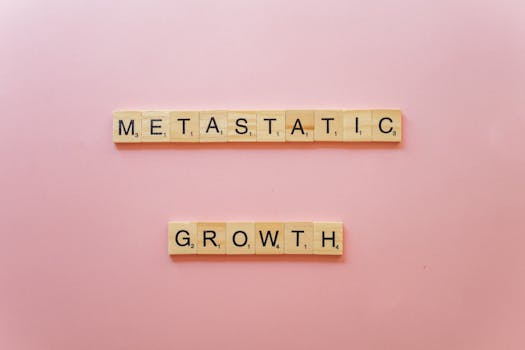 Nordean Omalaina-palvelu: Lainaehdot Ja Hakuprosessi