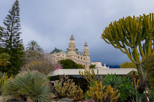 Tiedot Credigo Osuuspankki -sivustosta Ja Sen Merkityksestä Suomalaisille Pelaajille