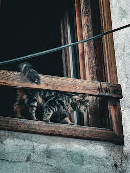 Lainan Vuosikorko Laskuri: Opas Ja Käytännön Ohjeet