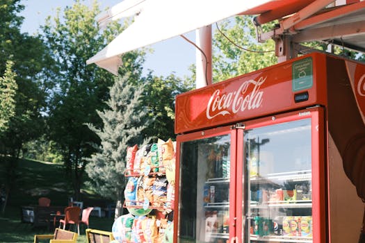 Brite Kasinot: Näkemyksiä Ja Turvallisuuden Arviointi