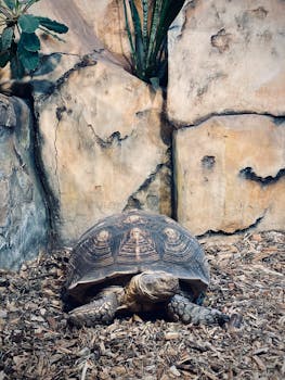 Uudet Suomalaiset Kasinot: Selaa Ja Arvioi Paras Uusi Tarjonta Suomalaisille Pelaajille