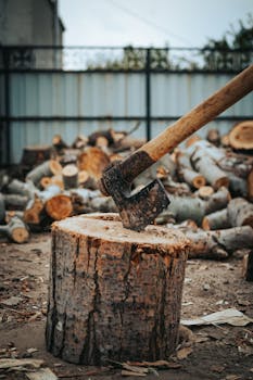 Bisnode Omien Luottotietojen Tarkistus: Näin Voit Hallita Talouteesi Liittyviä Tietoja