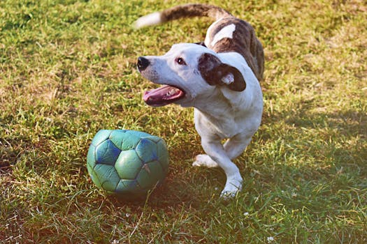 Yrityslaina Pk-yrityksille: Rahoitusvaihtoehdot Ja Hakuprosessi