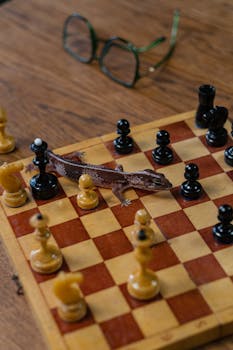 Laina Nordea: How To Understand And Access Nordea Personal Loans